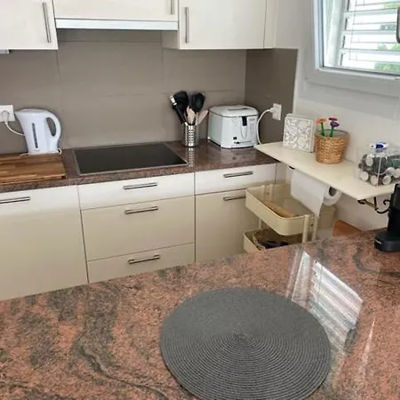 Au Leman Apartment *